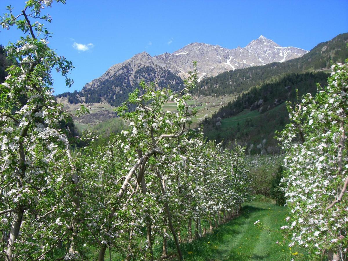 Mareinhof - Urlaub Auf Dem Apfelbauernhof Daire Parcines Dış mekan fotoğraf