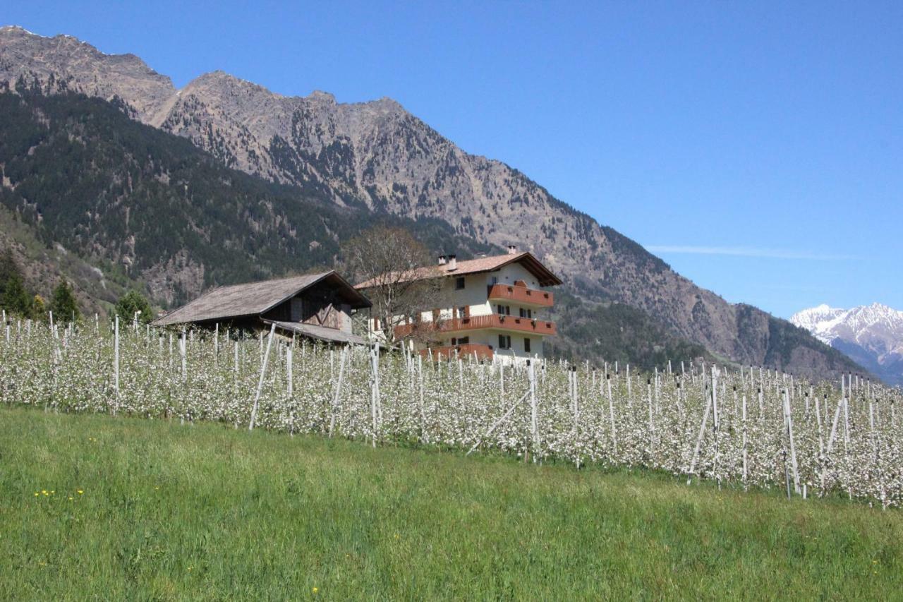 Mareinhof - Urlaub Auf Dem Apfelbauernhof Daire Parcines Dış mekan fotoğraf
