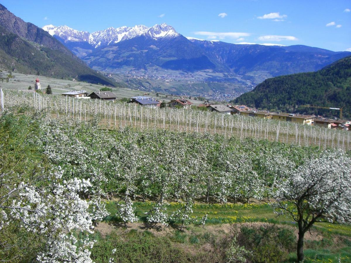 Mareinhof - Urlaub Auf Dem Apfelbauernhof Daire Parcines Dış mekan fotoğraf